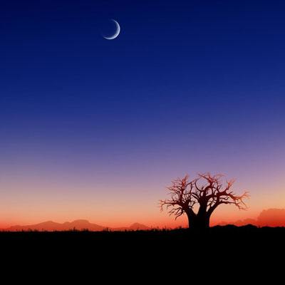 云开平台APP官方全站APP入口截图