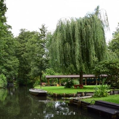 ag真人国际官网app下载